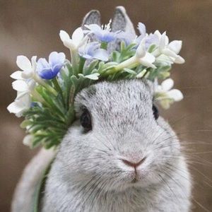 Meet your Posher, Paola