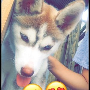 Meet your Posher, Paola