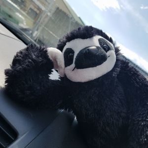 Meet your Posher, Daymien