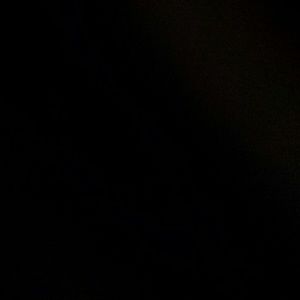 Meet your Posher, Alisha