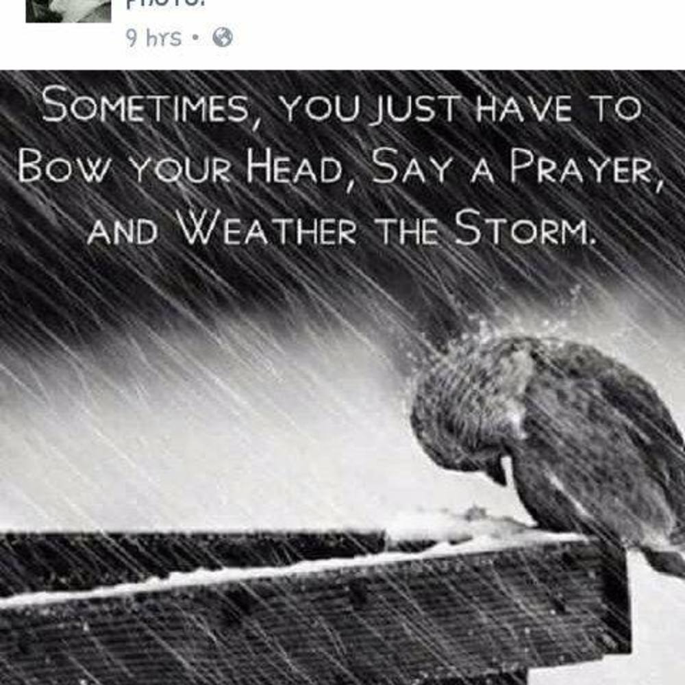 Meet your Posher, Monica