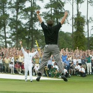 Meet your Posher, Harrison