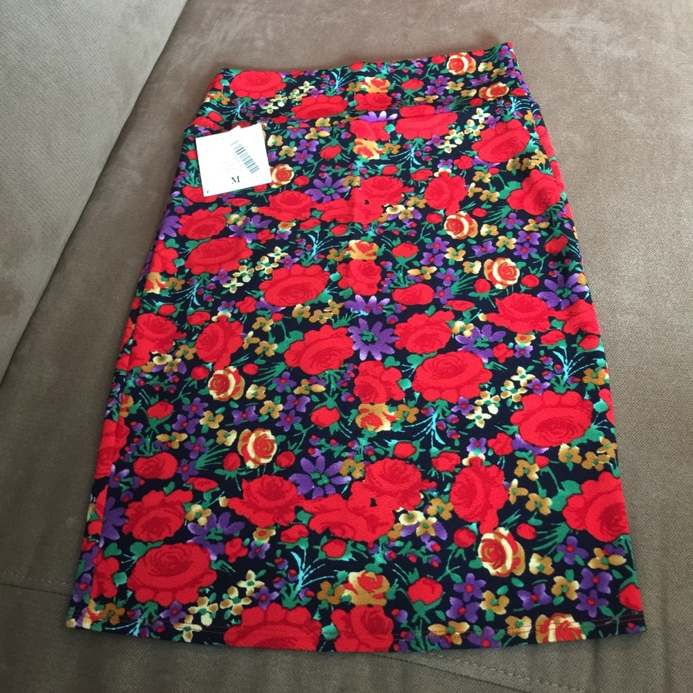 NWT!  LuLaRoe Cassie Skirt