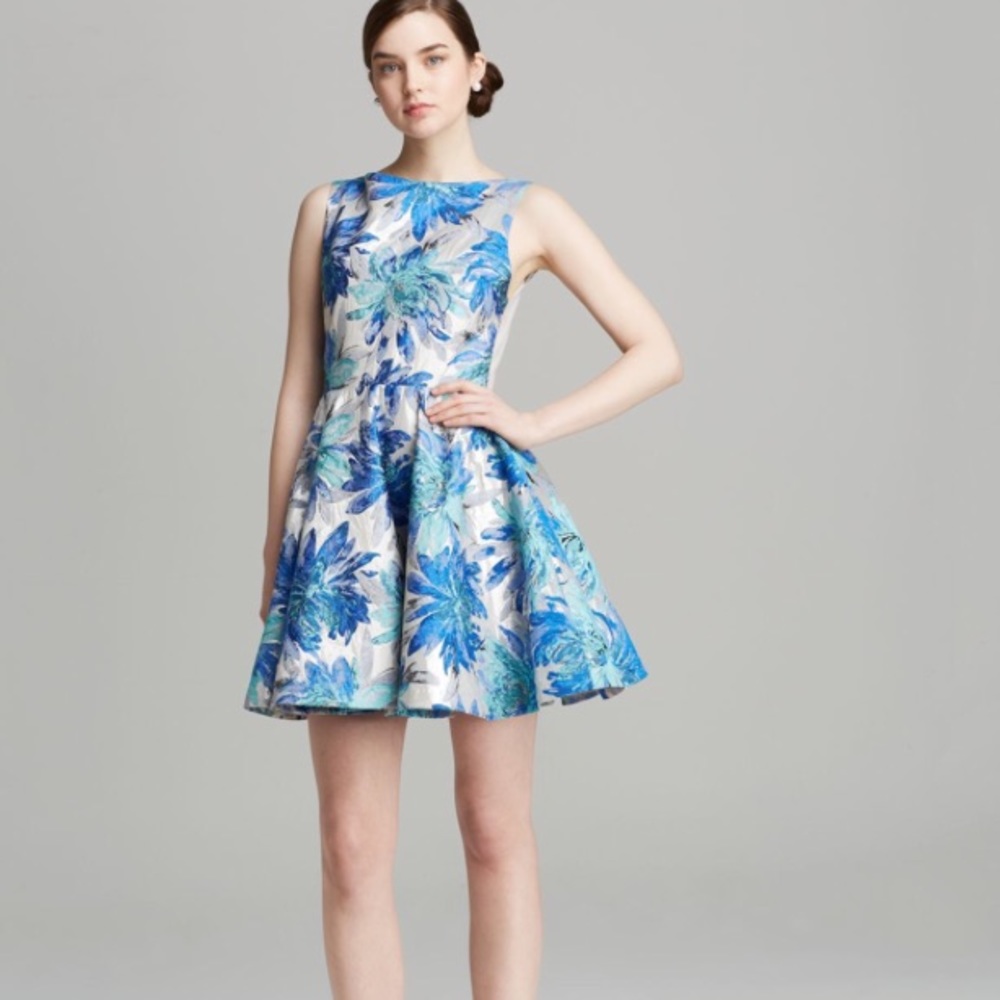 Alice and Olivia dress