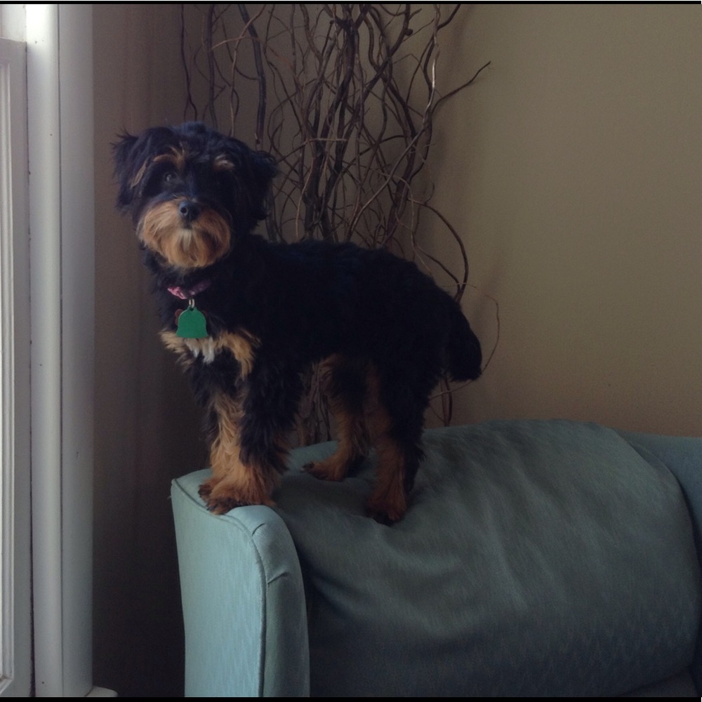 Meet your Posher, Brenda