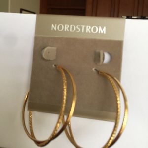 Large double hoops earnings