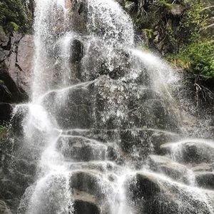 Meet your Posher, Vjolca