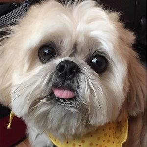 Meet your Posher, Sharine