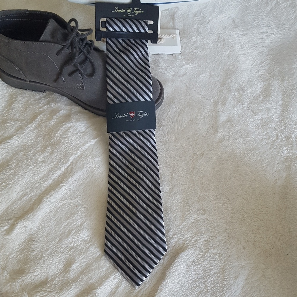 Classy Gray and Black Tie
