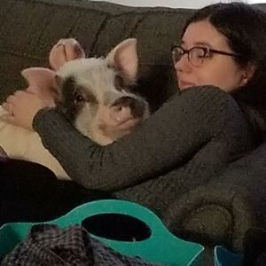 Meet your Posher, Ashley