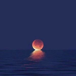 Meet your Posher, Raquel