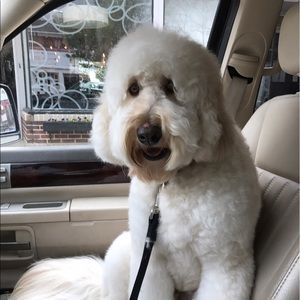 Meet your Posher, Stephen