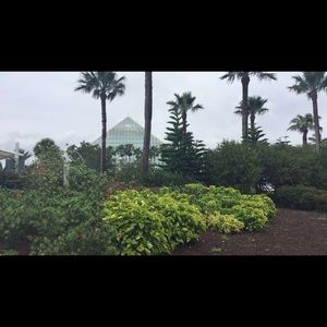 Meet your Posher, Cathy