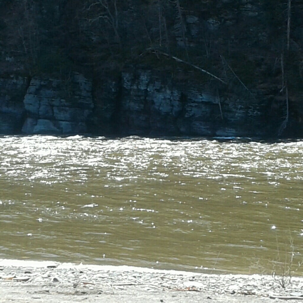 Meet your Posher, Maureen