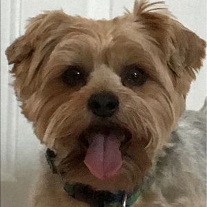 Meet your Posher, Christine