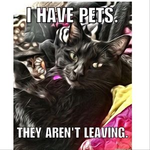 No smokers, just fur babies.