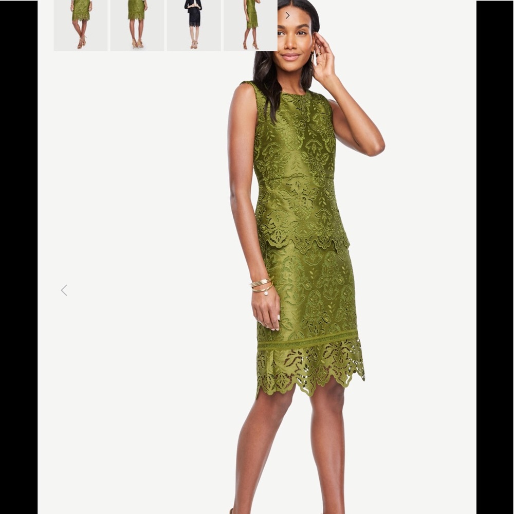Ann Taylor botanical lace peplum top. - Picture 2 of 7
