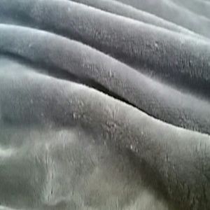 Meet your Posher, Joey