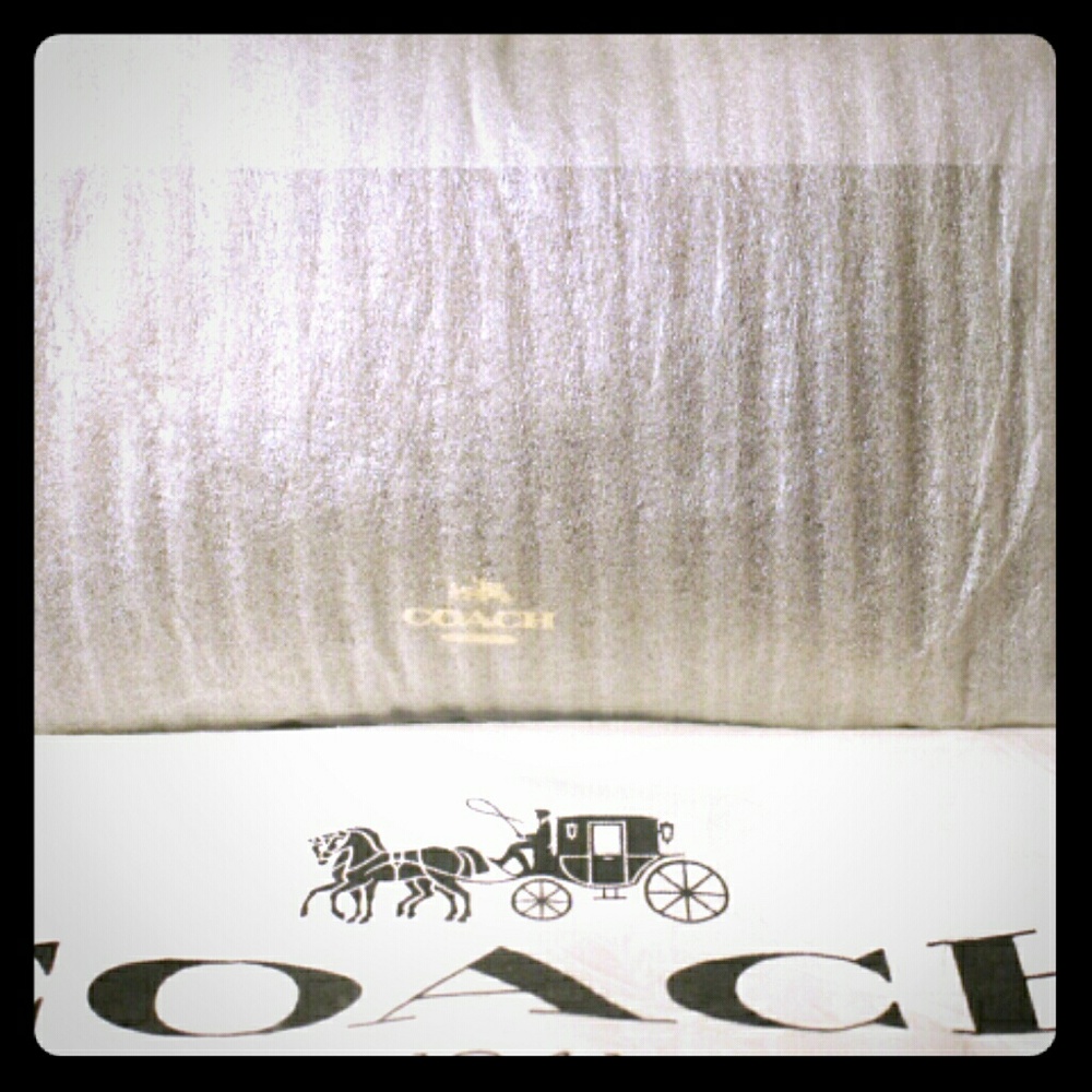 COACH Brown/leather w/ Gold Chain Wristlet
