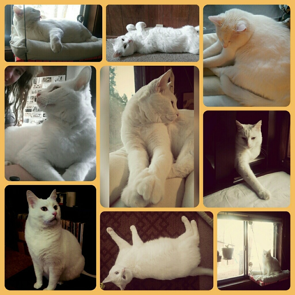 Ludwig!!!