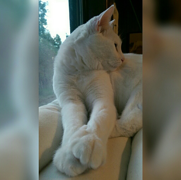 Ludwig!!! - Picture 2 of 2