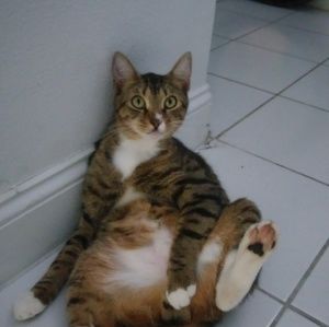 Meet your Posher, Lesa