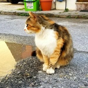 Meet your Posher, Yu