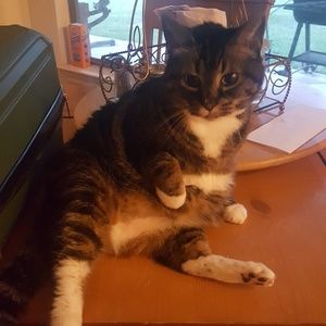 Meet your Posher, Rod