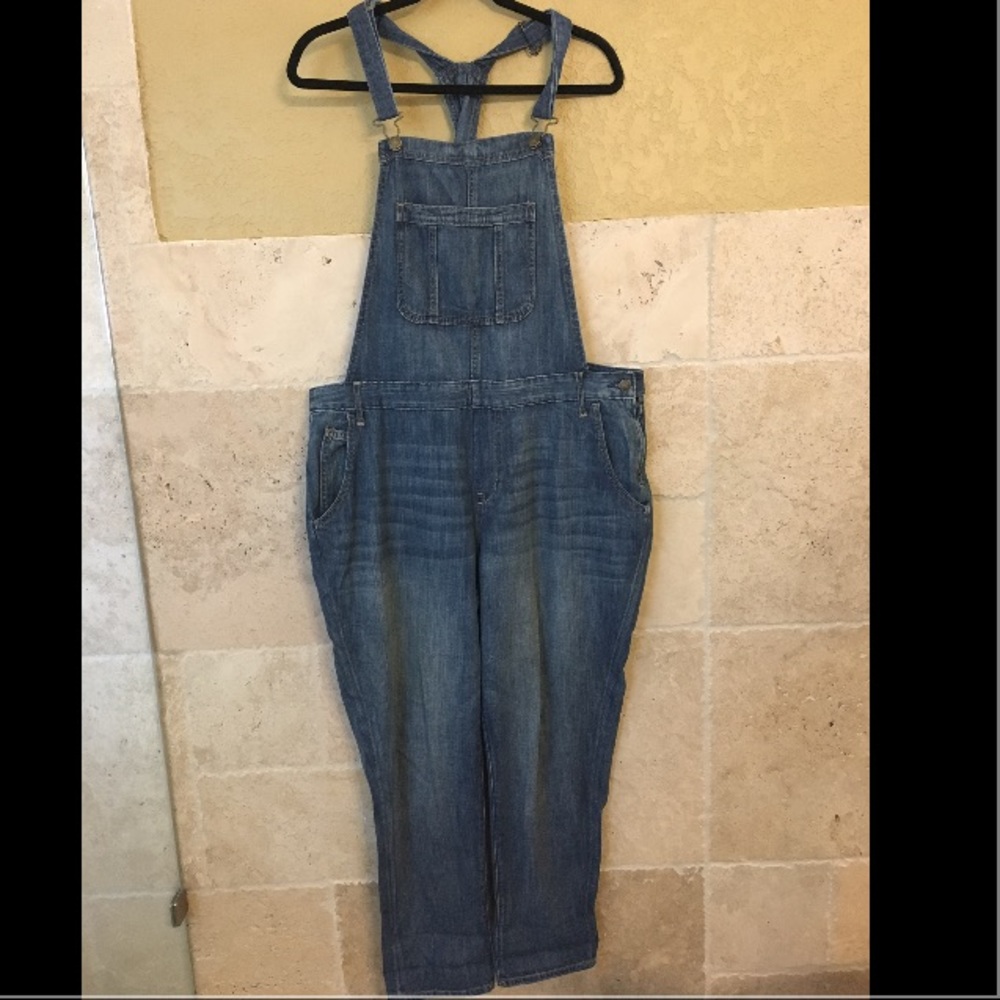 Old Navy Denim OverAlls