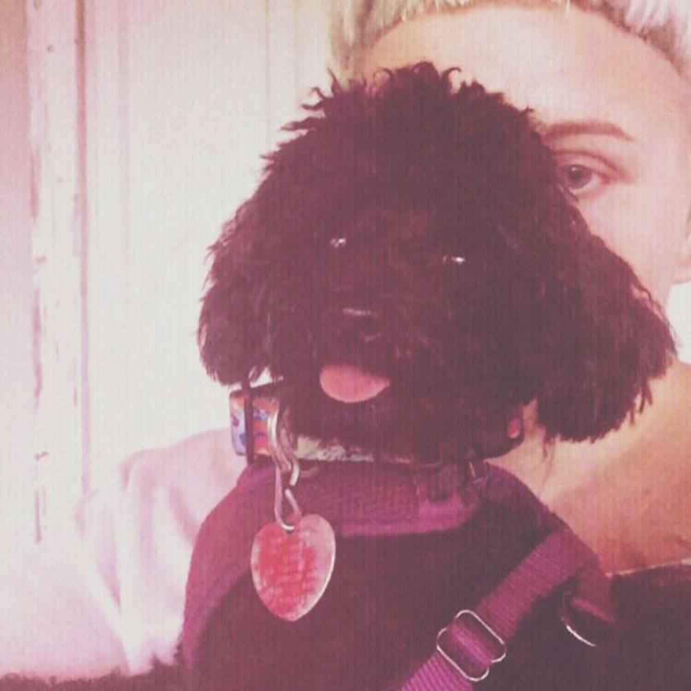 Meet your Posher, Blythe