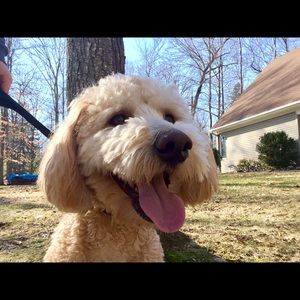 Meet your Posher, Andrea