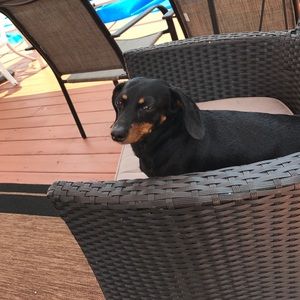 Meet your Posher, Kat