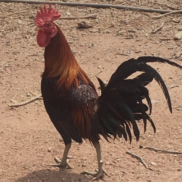 Meet your Posher, Martin - Picture 1 of 1