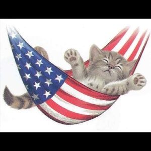 🇺🇸 🎉FOURTH OF JULY CLOSET SALE!!! 🎉🇺🇸