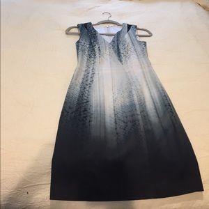 Beautiful Elie Tahari dress.