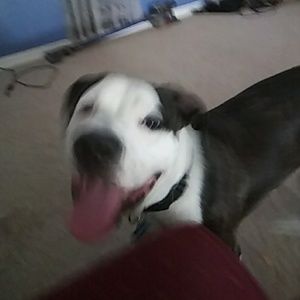 Meet your Posher, Dustin