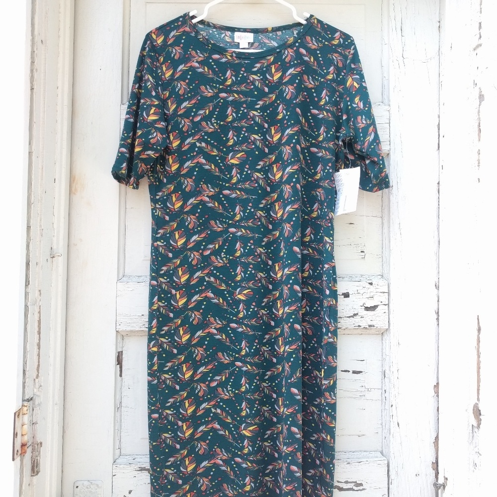 LuLaRoe Julia Dress