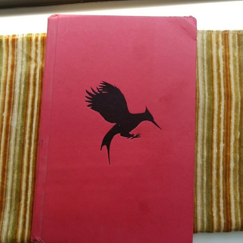 Collins Catching Fire Used Book