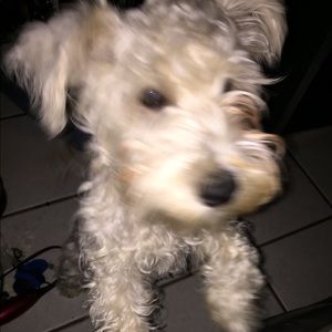 Meet your Posher, Corinne