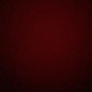 Meet your Posher, Kendall