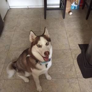 Meet your Posher, Bernie