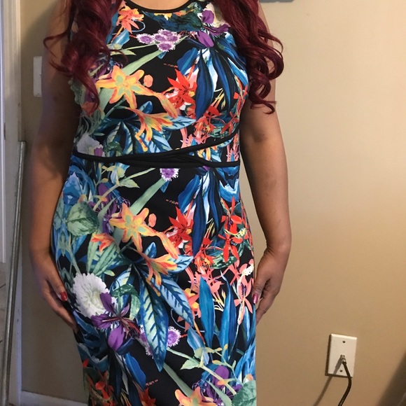 Nicole Miller floral dress sz XL no offers - Picture 6 of 6