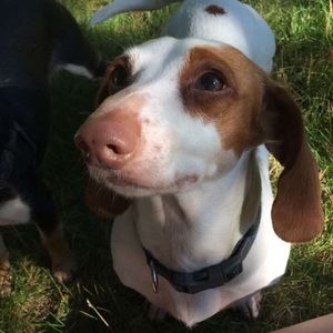 Meet your Posher, April