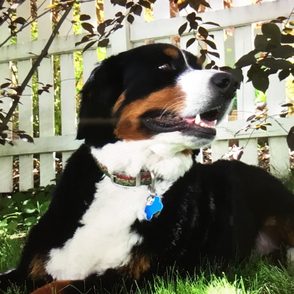 Meet your Posher, Jane