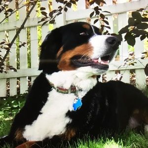 Meet your Posher, Jane