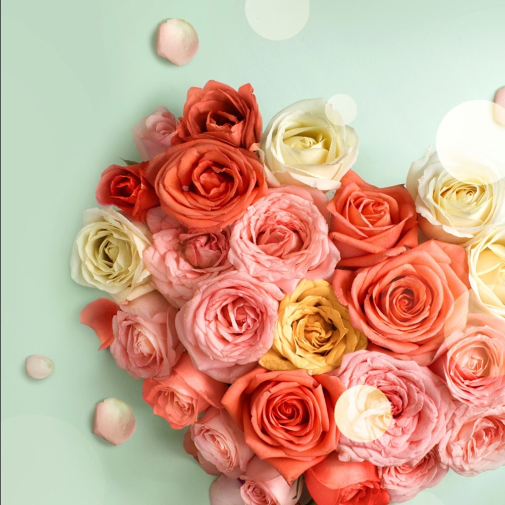 Meet your Posher, Susan