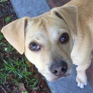 Meet your Posher, Beth