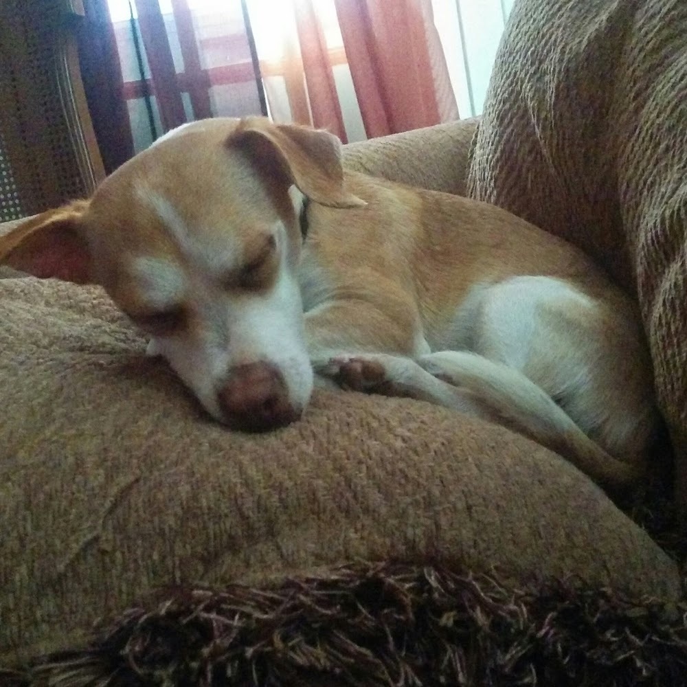 Meet your Posher, Mohan