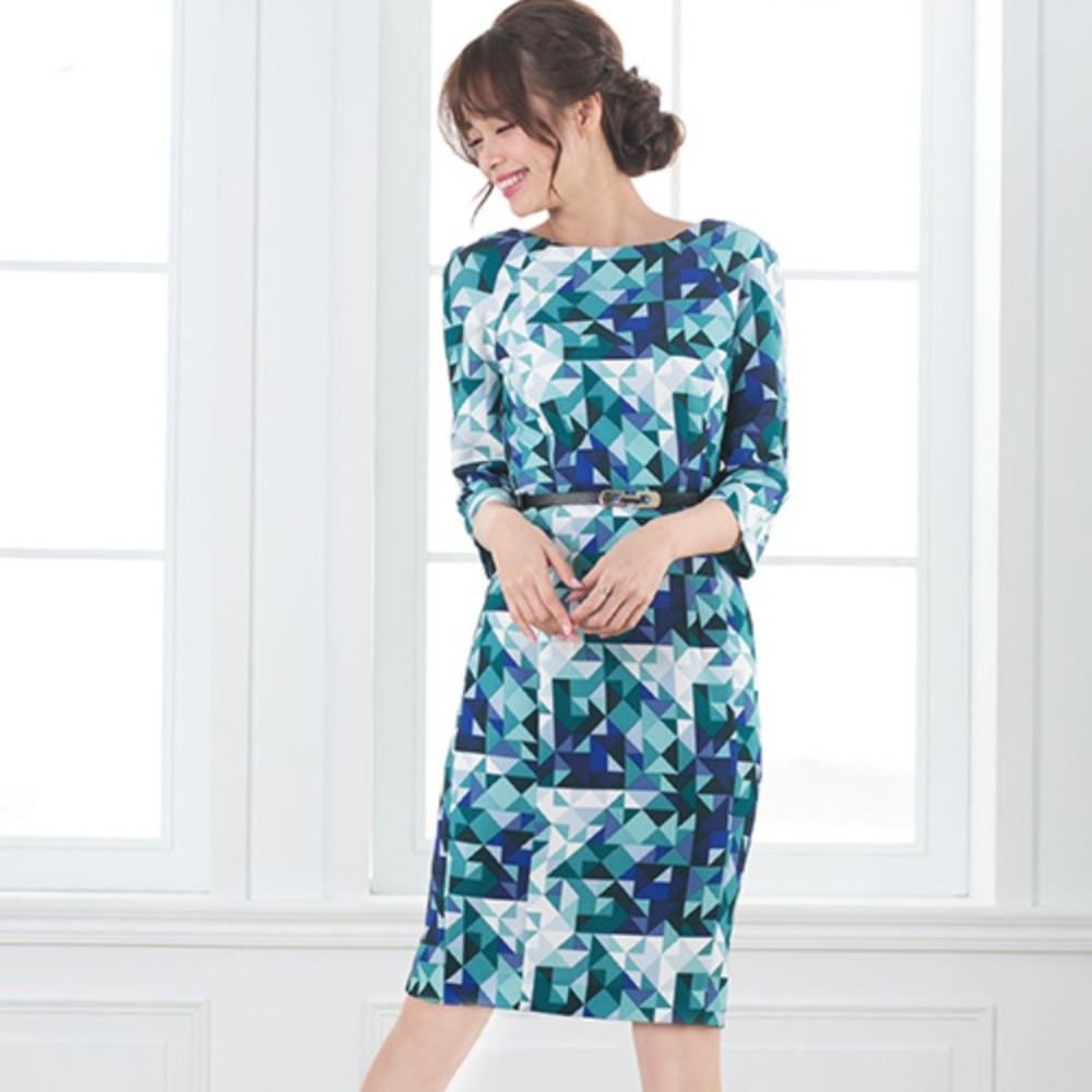 NWT H&M Fitted Print Dress