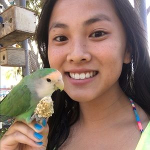 Meet your Posher, Darcy